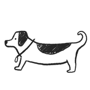 Long dog with collar
